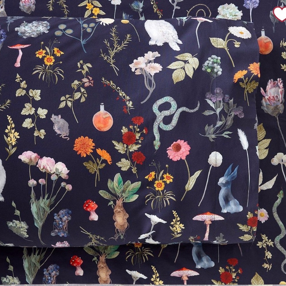 Pottery Barn Teen Harry Potter Herbology Duvet Cover with two shams